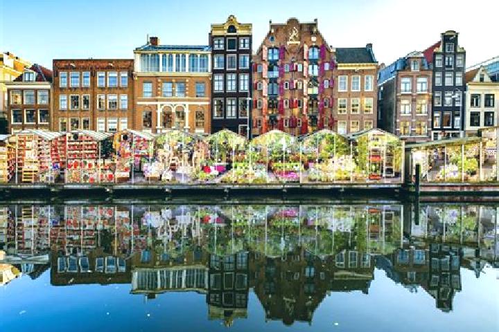 Escorts Marknesse, Netherlands — Local Companions