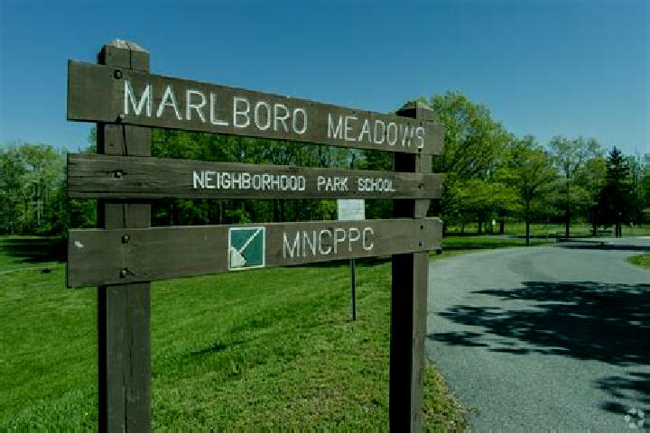 Escorts Marlboro Meadows, United States — Local Companions