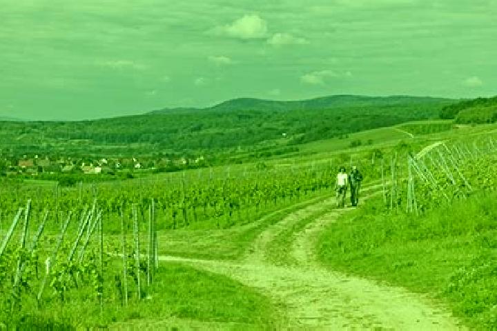 Escorts Marlenheim, France — Local Companions