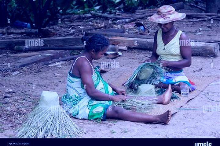 Escorts Maroantsetra, Madagascar — Local Companions
