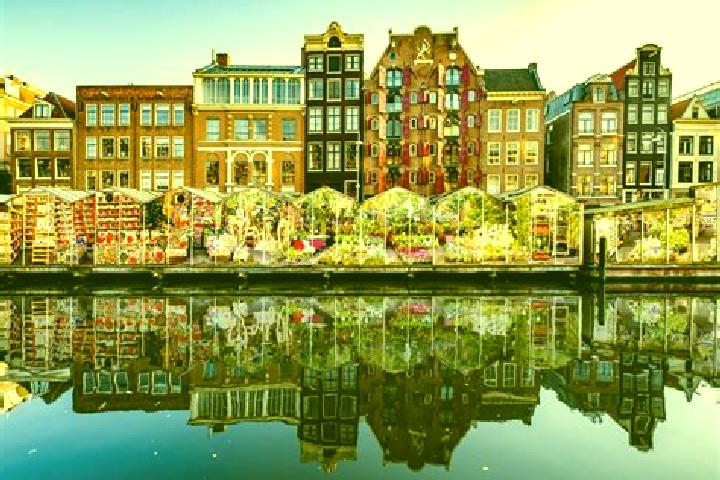 Escorts Martenshoek, Netherlands — Local Companions