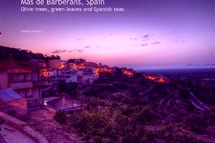 Escorts Mas de Barberans, Spain — Local Companions