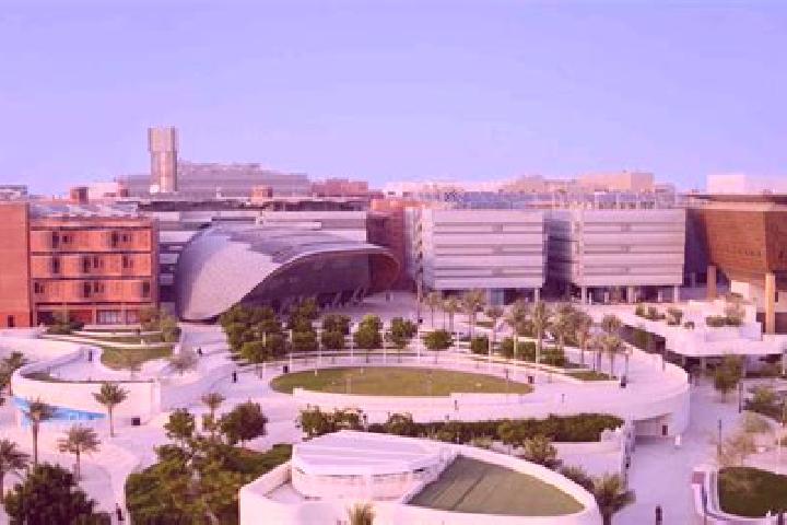 Escorts Masdar City, United Arab Emirates — Local Companions