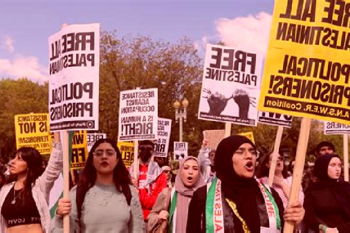 Escorts Mashah, Palestine — Local Companions