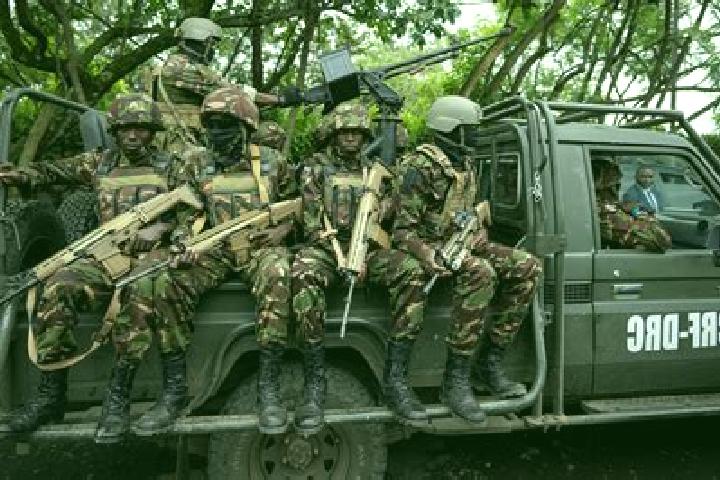 Escorts Masina, DR Congo — Local Companions