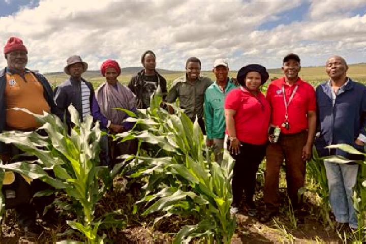 Escorts Matatiele, South Africa — Local Companions