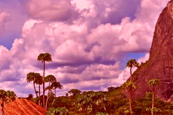 Escorts Matola, Mozambique — Local Companions