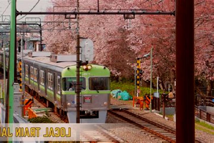 Escorts Matsudo, Japan — Local Companions