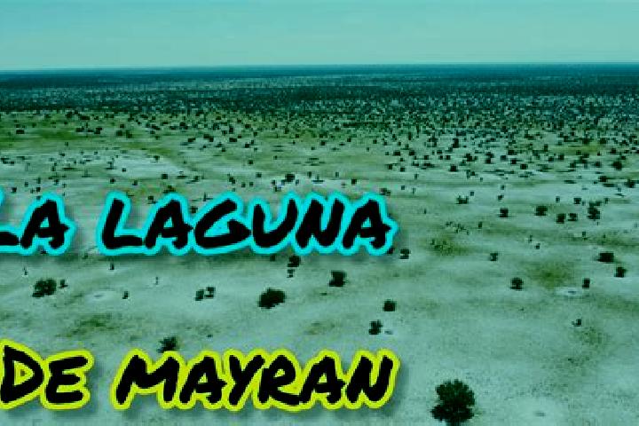 Escorts Mayran, Mexico — Local Companions