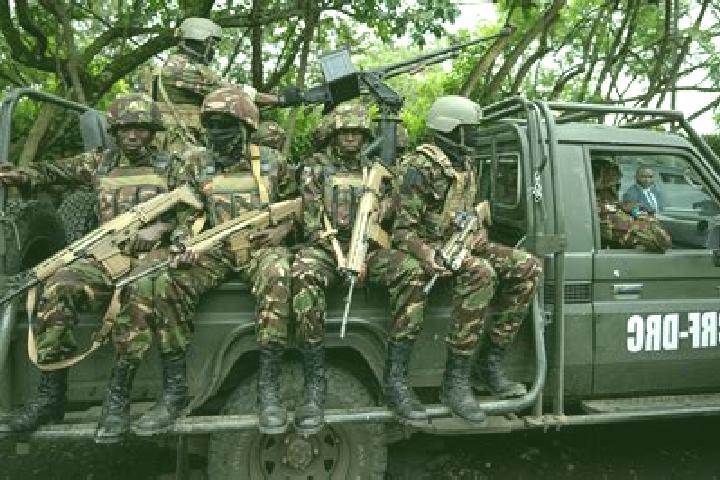 Escorts Mbandaka, DR Congo — Local Companions