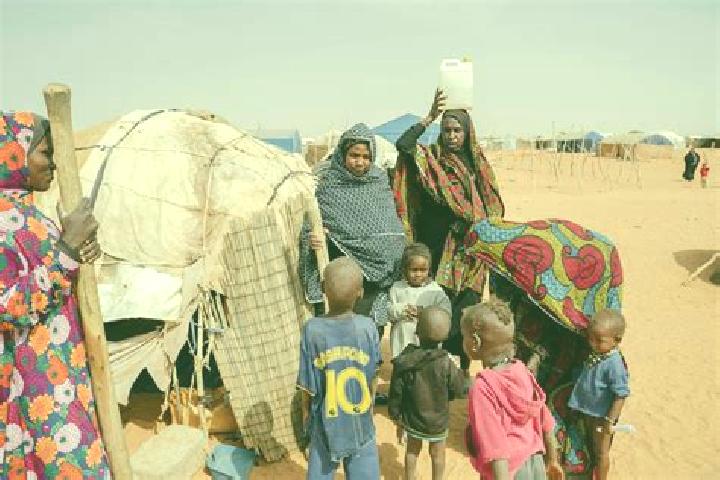 Escorts Mbera, Mauritania — Local Companions