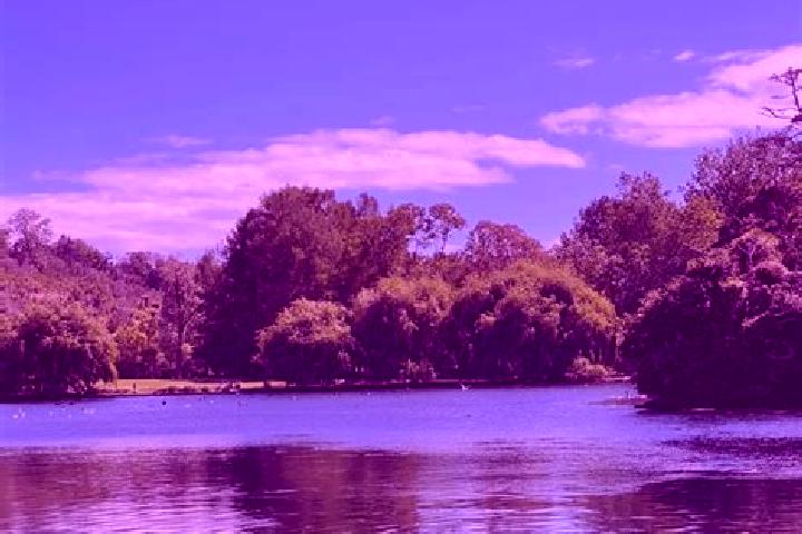 Escorts Meadow Springs, Australia — Local Companions