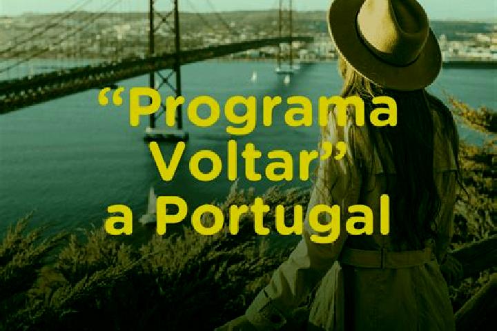 Escorts Meda, Portugal — Local Companions