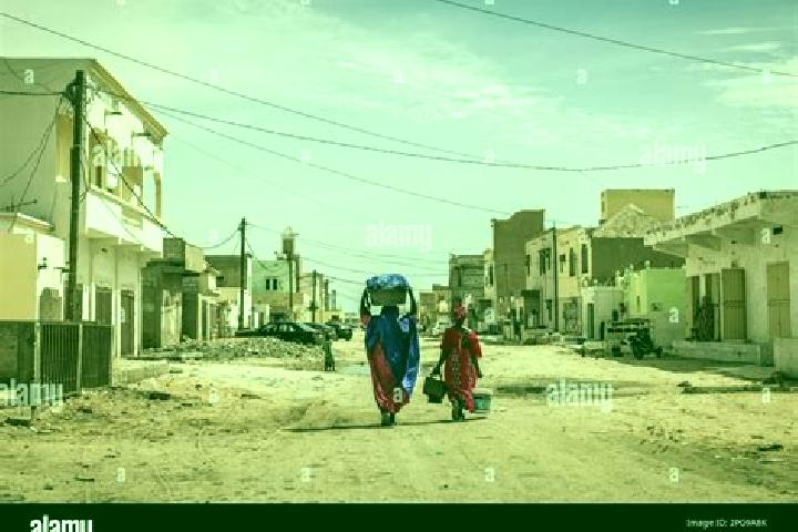 Escorts Mederdra, Mauritania — Local Companions