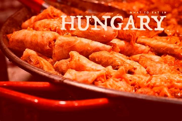 Escorts Medgyesegyhaza, Hungary — Local Companions