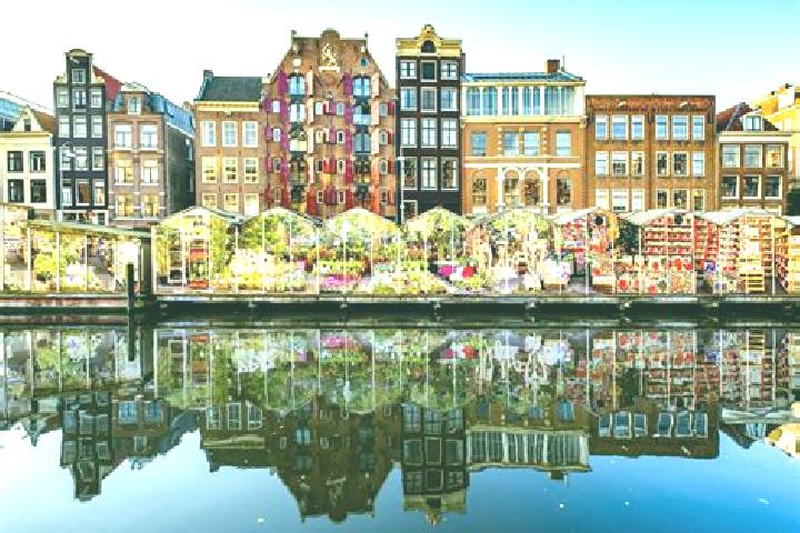 Escorts Meeden, Netherlands — Local Companions