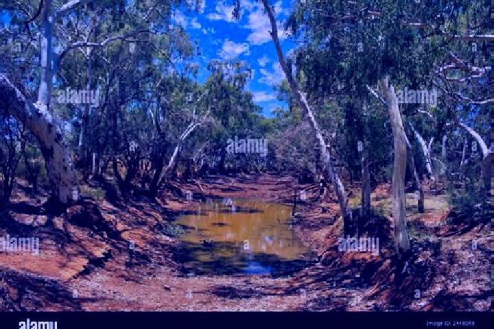 Escorts Meekatharra, Australia — Local Companions