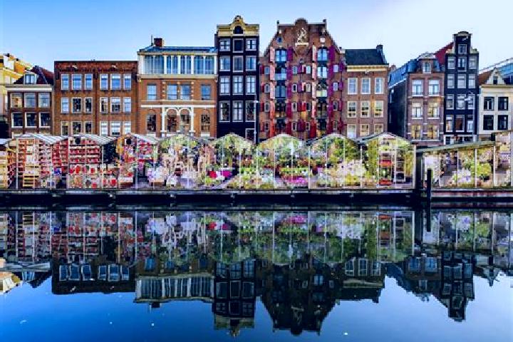 Escorts Meezenbroek, Netherlands — Local Companions