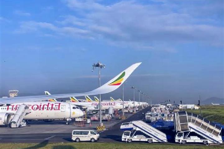 Escorts Mega, Ethiopia — Local Companions