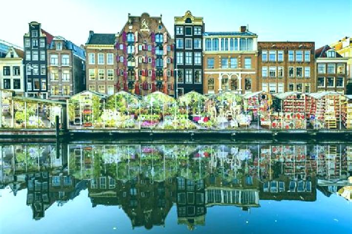 Escorts Mekkelholt, Netherlands — Local Companions