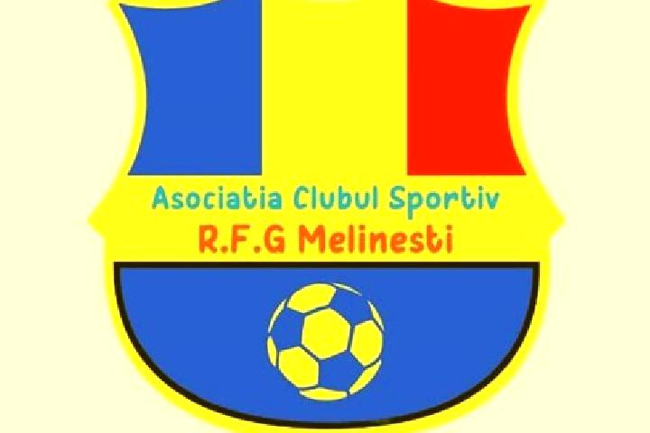 Escorts Melinesti, Romania — Local Companions