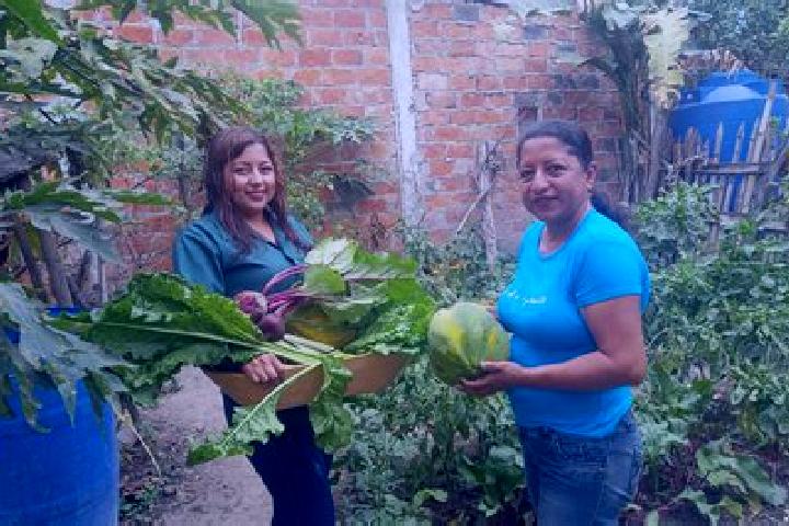 Escorts Membrillal, Ecuador — Local Companions