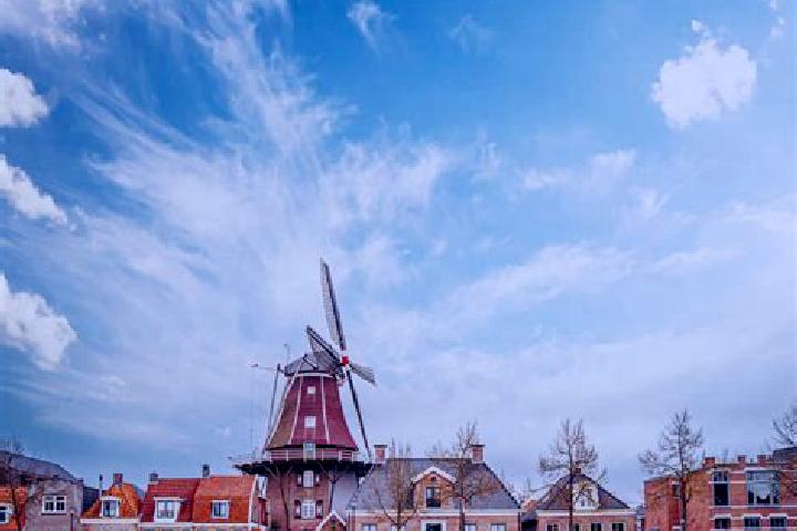Escorts Meppel, Netherlands — Local Companions