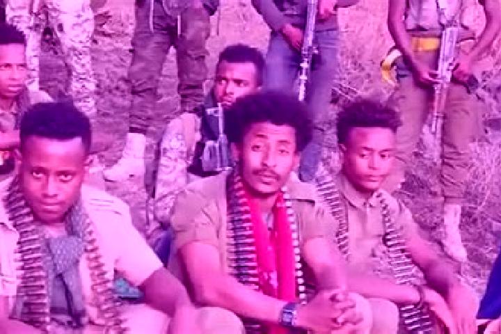 Escorts Mer awi, Ethiopia — Local Companions