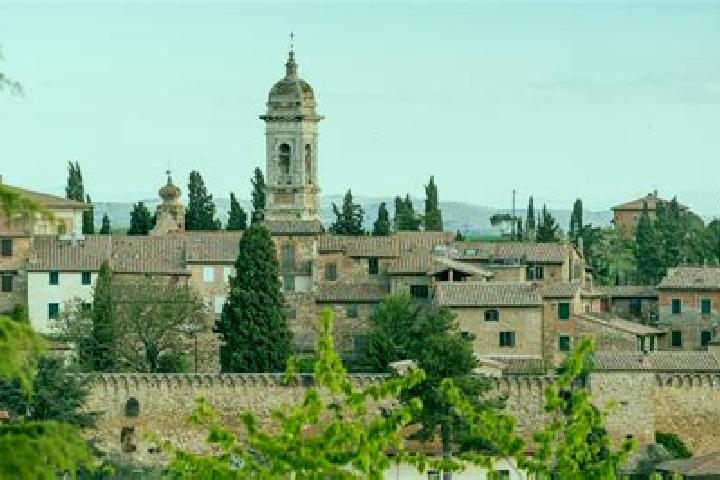 Escorts Mercatale-San Quirico, Italy — Local Companions