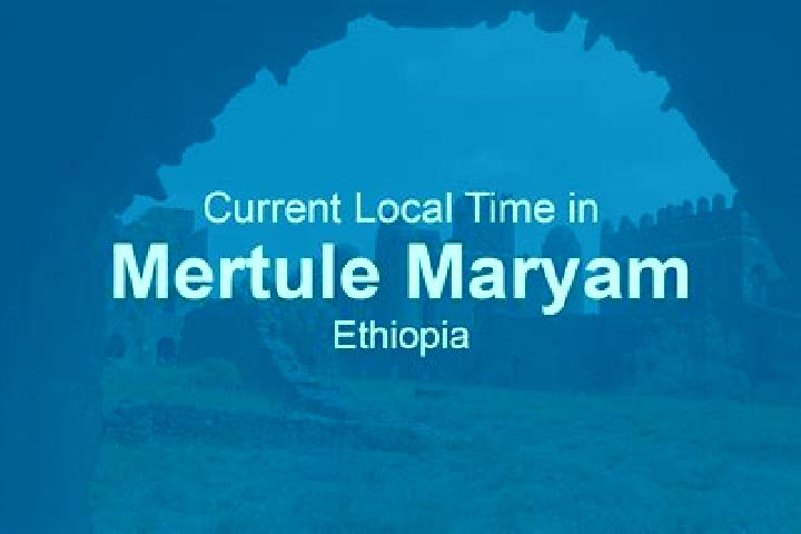 Escorts Mertule Maryam, Ethiopia — Local Companions