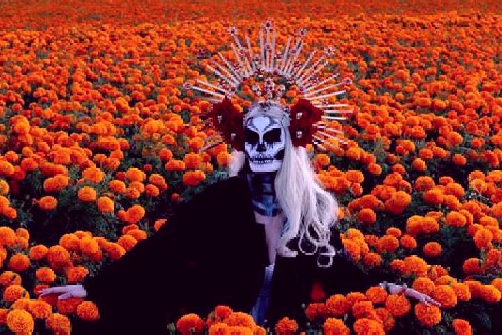 Escorts Mesa de Flores, Mexico — Local Companions