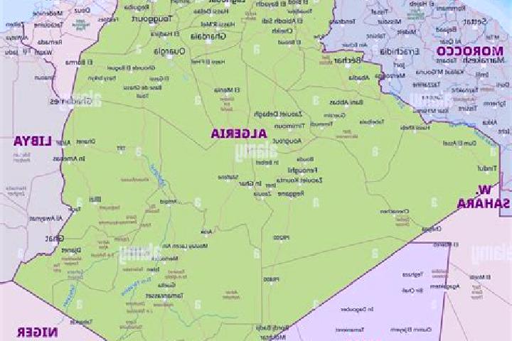 Escorts Meskiana, Algeria — Local Companions