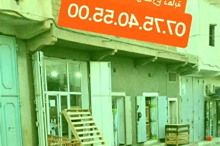 Escorts Messaad, Algeria — Local Companions