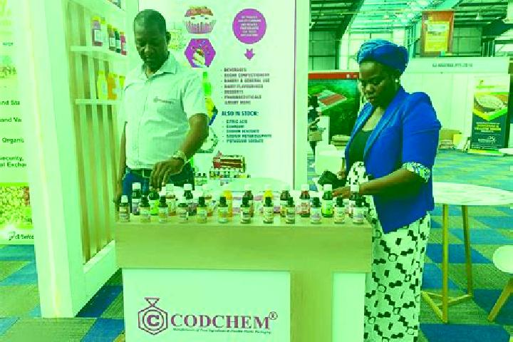 Escorts Metsemotlhaba, Botswana — Local Companions