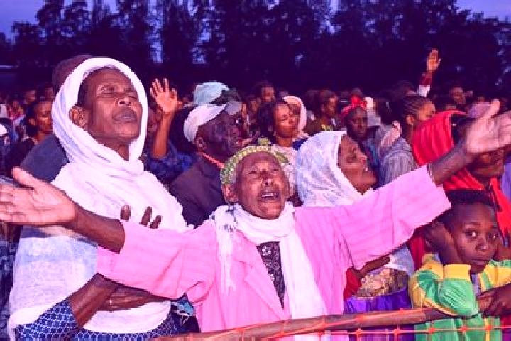 Escorts Metu, Ethiopia — Local Companions