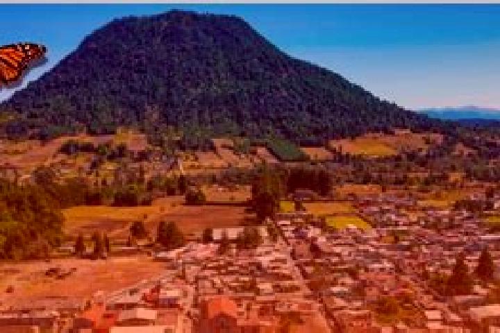Escorts Michoacan de Ocampo, Mexico — Local Companions