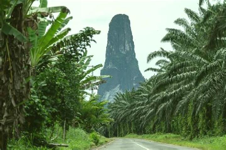 Escorts Micolo, Sao Tome and Principe — Local Companions