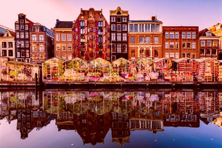Escorts Middelbeers, Netherlands — Local Companions