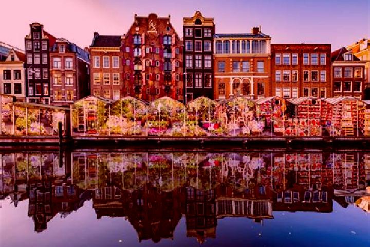 Escorts Midlum, Netherlands — Local Companions