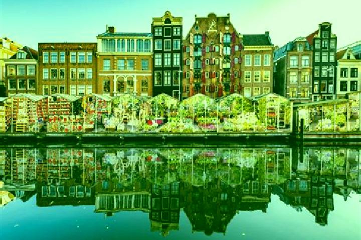 Escorts Midwolda, Netherlands — Local Companions
