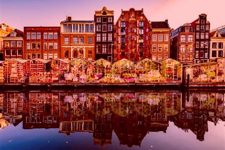 Escorts Midwoud, Netherlands — Local Companions