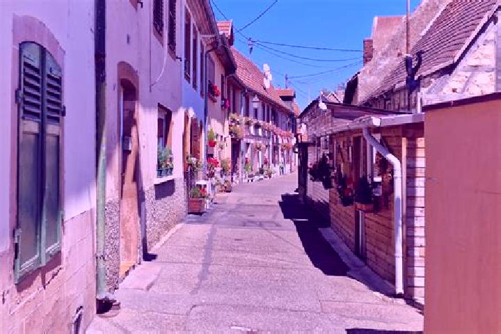 Escorts Mietesheim, France — Local Companions