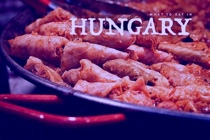Escorts Mihalyi, Hungary — Local Companions