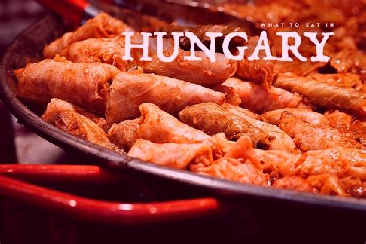 Escorts Miklostelep, Hungary — Local Companions