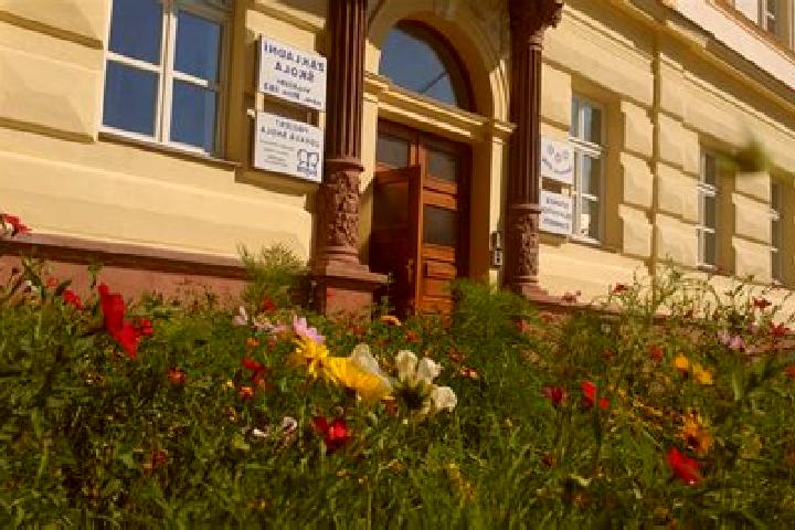 Escorts Miletin, Czech Republic — Local Companions