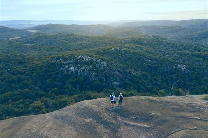 Escorts Millmerran, Australia — Local Companions
