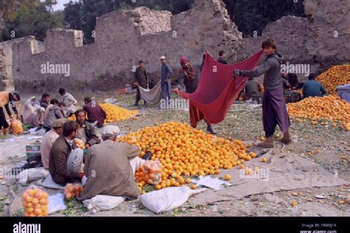 Escorts Mir Bachah Kot, Afghanistan — Local Companions
