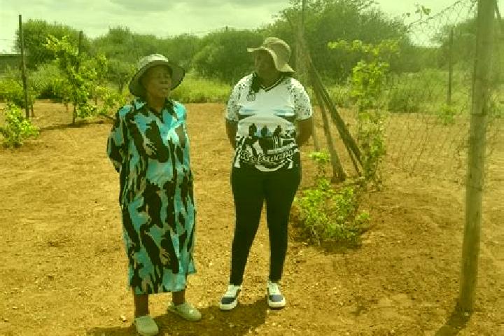 Escorts Mmathubudukwane, Botswana — Local Companions
