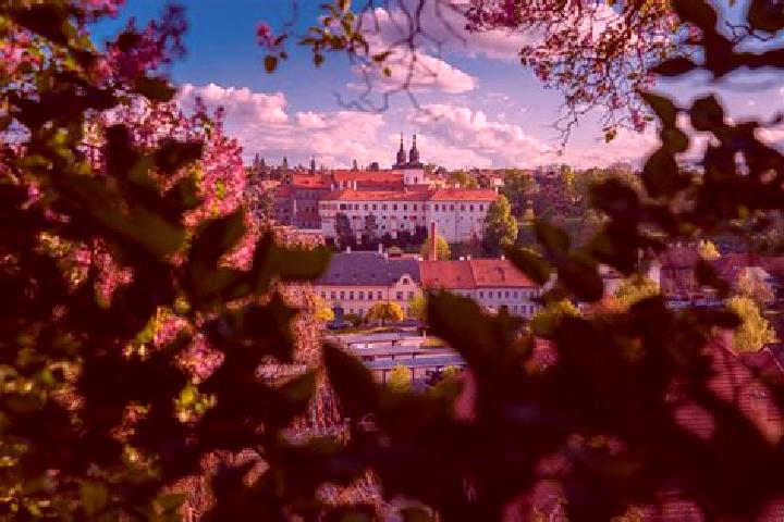 Escorts Mnisek, Czech Republic — Local Companions