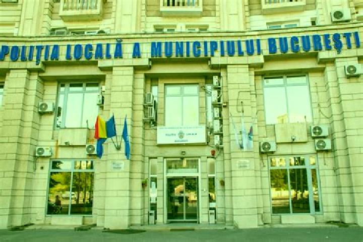 Escorts Moacsa, Romania — Local Companions